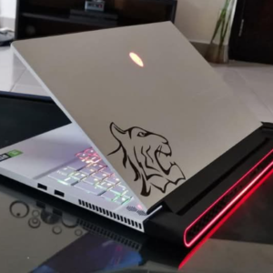 Dell Alienware M17 - R2